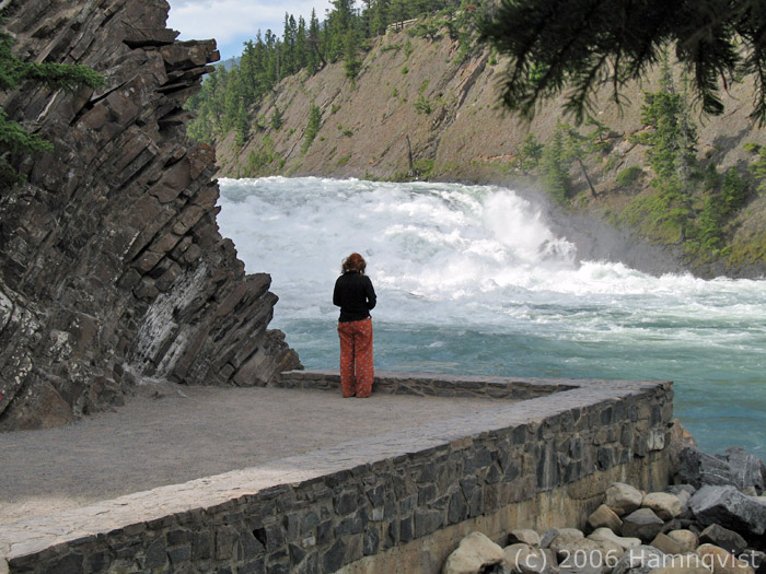 Checking out a big waterfall in Banff