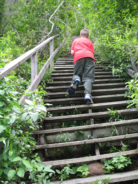 Lots of steep stair to climb