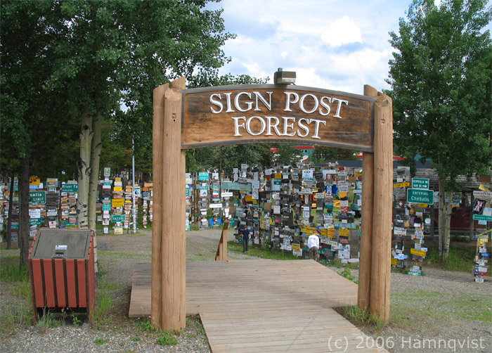 The entrance to the Sign Forest