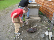 Loading some more dirt