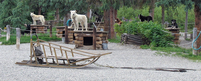 The sled they used for today's power demo