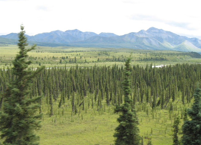 Continued views from Denali