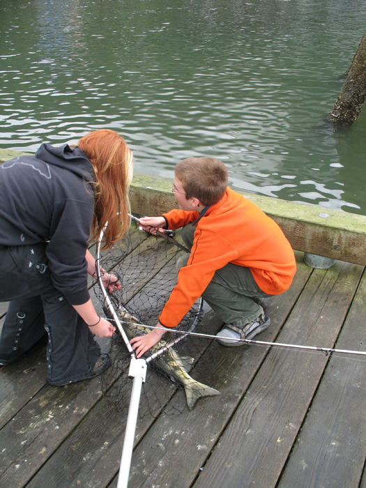 Snagging is the name of the game - just throw a hook out and pull