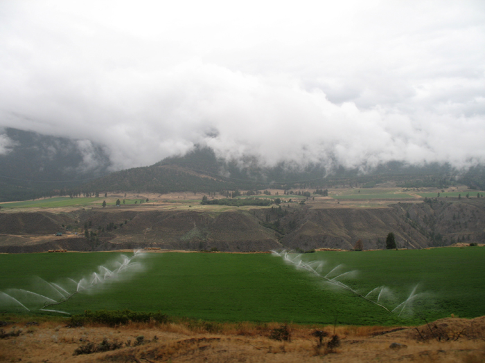 This just shows how unusual the rain is: they are watering fields under the clouds