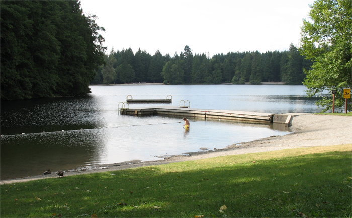 Karl is the only one who dares to take a dip into Alice Lake