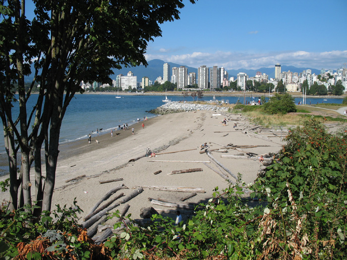 Large logs continuously wash up on beaches in Vancouver from Fraser River