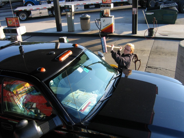 Cleaning off bugs
