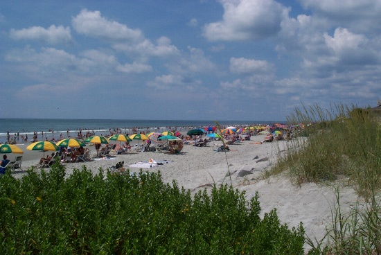 The beach by the campground goes on for miles