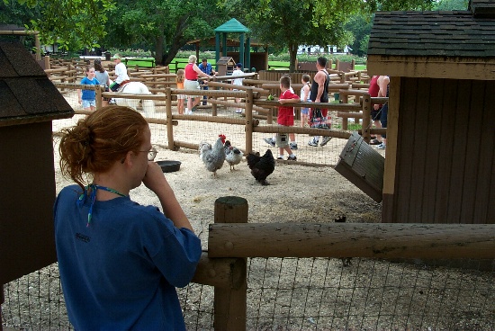 At the petting zoo here on Fort Wilderness
