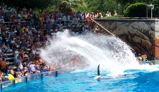 The audience getting splashed by ice-cold water