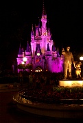 The Cinderella caste changes colors at night