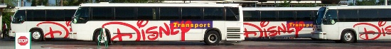 Disney buses waiting at the large terminal