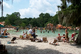 A view of the park from the shade