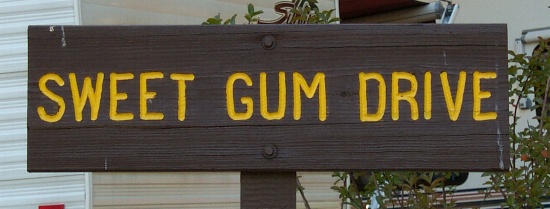 The streets on the campground have funny names
