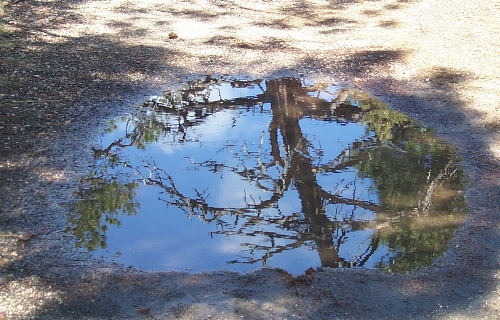 Mirror Mirror
